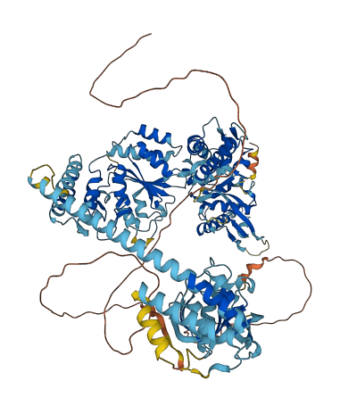 LONP1 3D structure