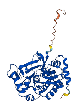 PPP1CC 3D structure