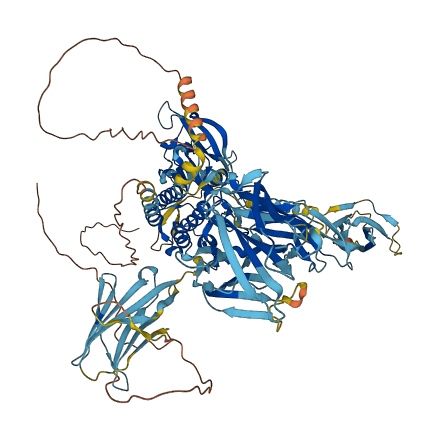 FLT3 3D structure