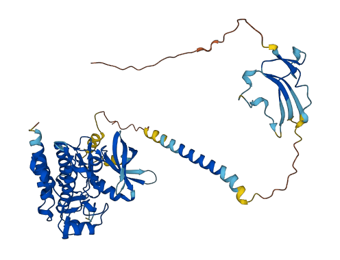 ACVR1B 3D structure