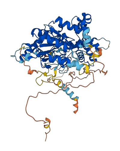 GNL1 3D structure