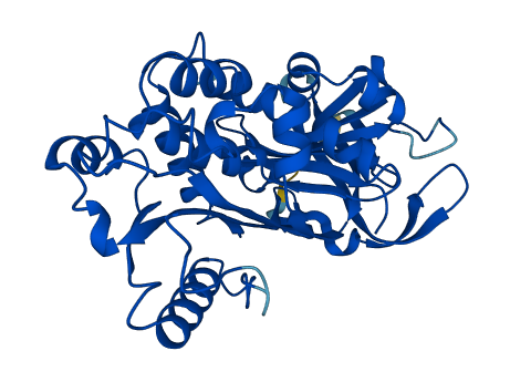 SERPINB5 3D structure