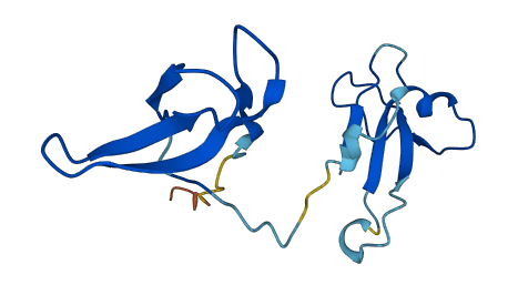 POLR2I 3D structure