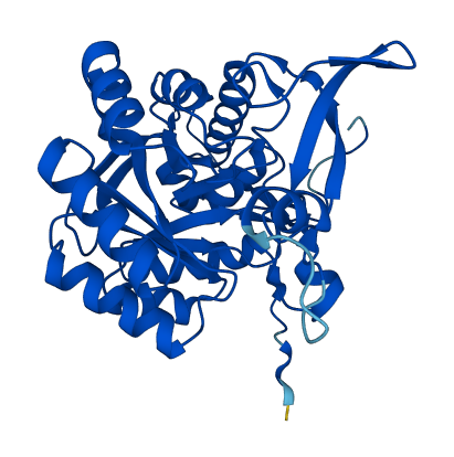 GMPR 3D structure