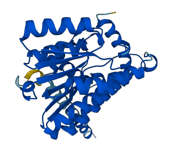 HSD17B3 3D structure