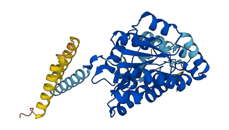 HSD17B2 3D structure