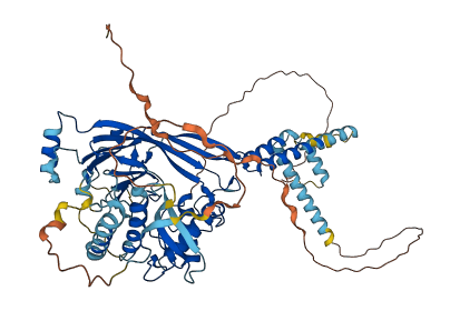 SCNN1A 3D structure