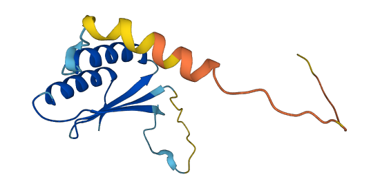 SRP14 3D structure