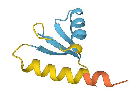 Ear 3D structure