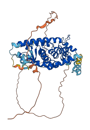 PPARG 3D structure