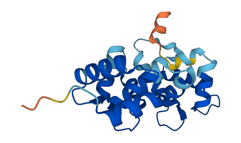 HPCAL1 3D structure