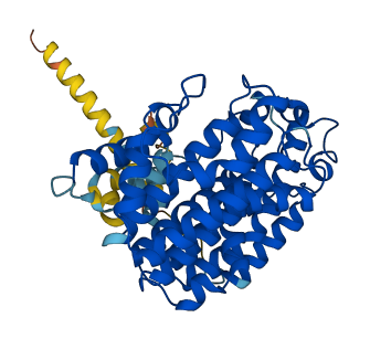FDFT1 3D structure