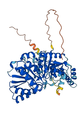 PIGA 3D structure