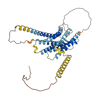 AVPR1A 3D structure