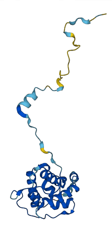 TAGLN2 3D structure