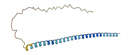 SNCA 3D structure