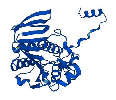 ETFB 3D structure