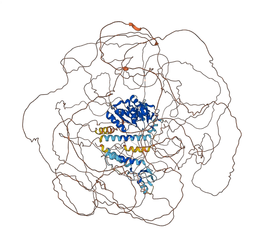 BRCA1 3D structure