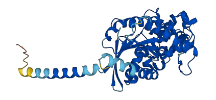 GNAL 3D structure