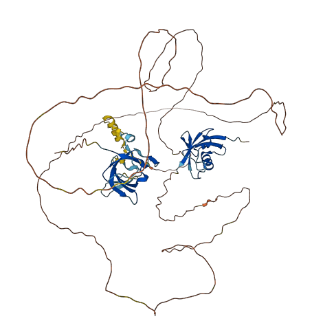 COIL 3D structure