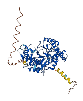 SPAM1 3D structure