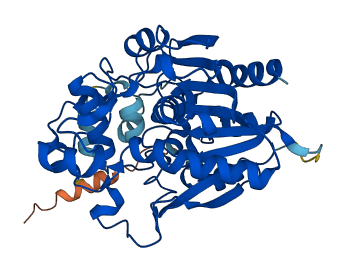 LIPA 3D structure