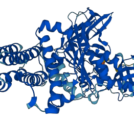 ATP6V1A 3D structure