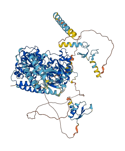 IGHMBP2 3D structure