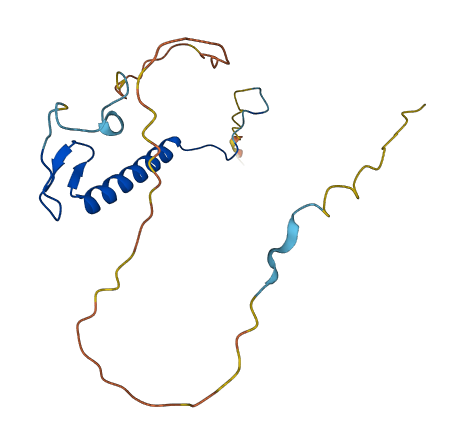 CDKN1A 3D structure