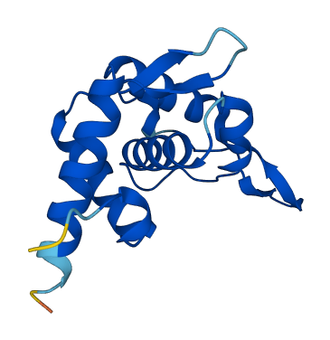 RPS19 3D structure
