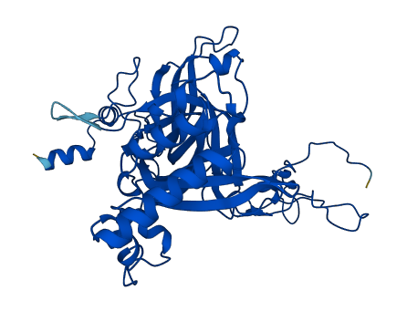 RPL3 3D structure