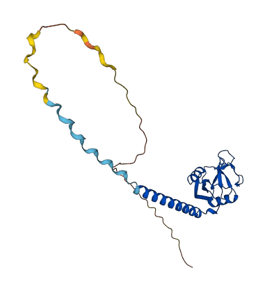 Mbl1 3D structure