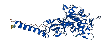 DDOST 3D structure