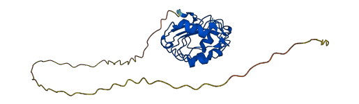 ANP32A 3D structure