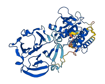 MMP12 3D structure