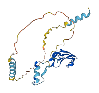 GDNF 3D structure