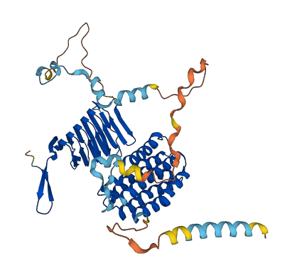 CAP2 3D structure