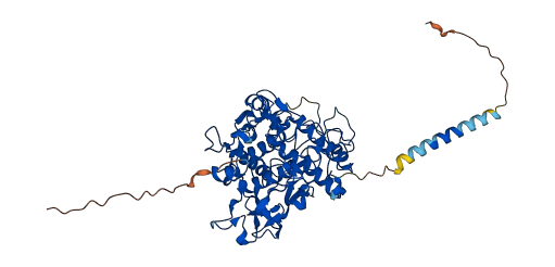 DCT 3D structure