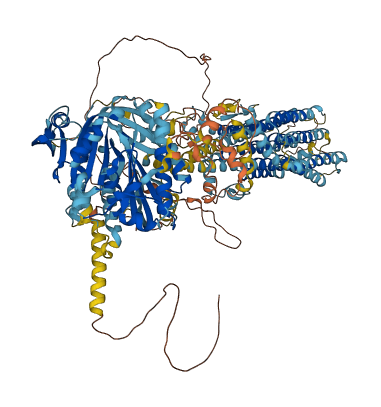 ADCY8 3D structure