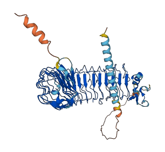 GP5 3D structure
