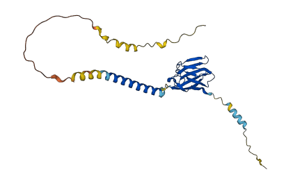 CEACAM3 3D structure