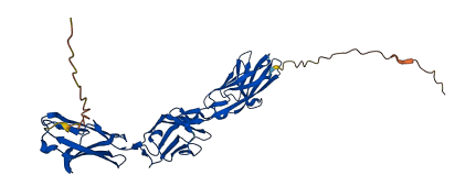CEACAM6 3D structure