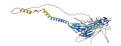 MPL 3D structure