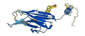 CD79B 3D structure