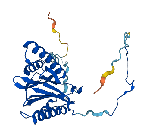 PSMB10 3D structure