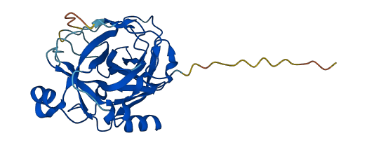 CTRL 3D structure
