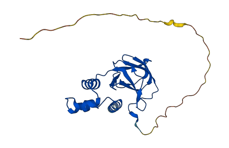 VHL 3D structure