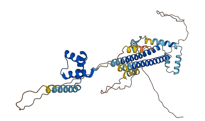 PBX1 3D structure