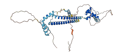 PBX2 3D structure