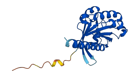 ARL4A 3D structure